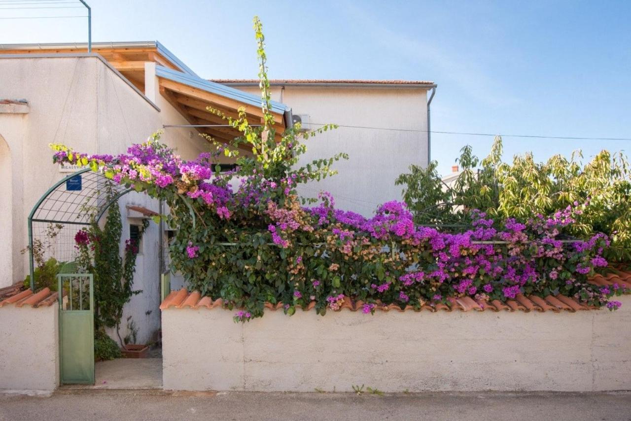 Apartments Anita Summer Vodice Eksteriør bilde